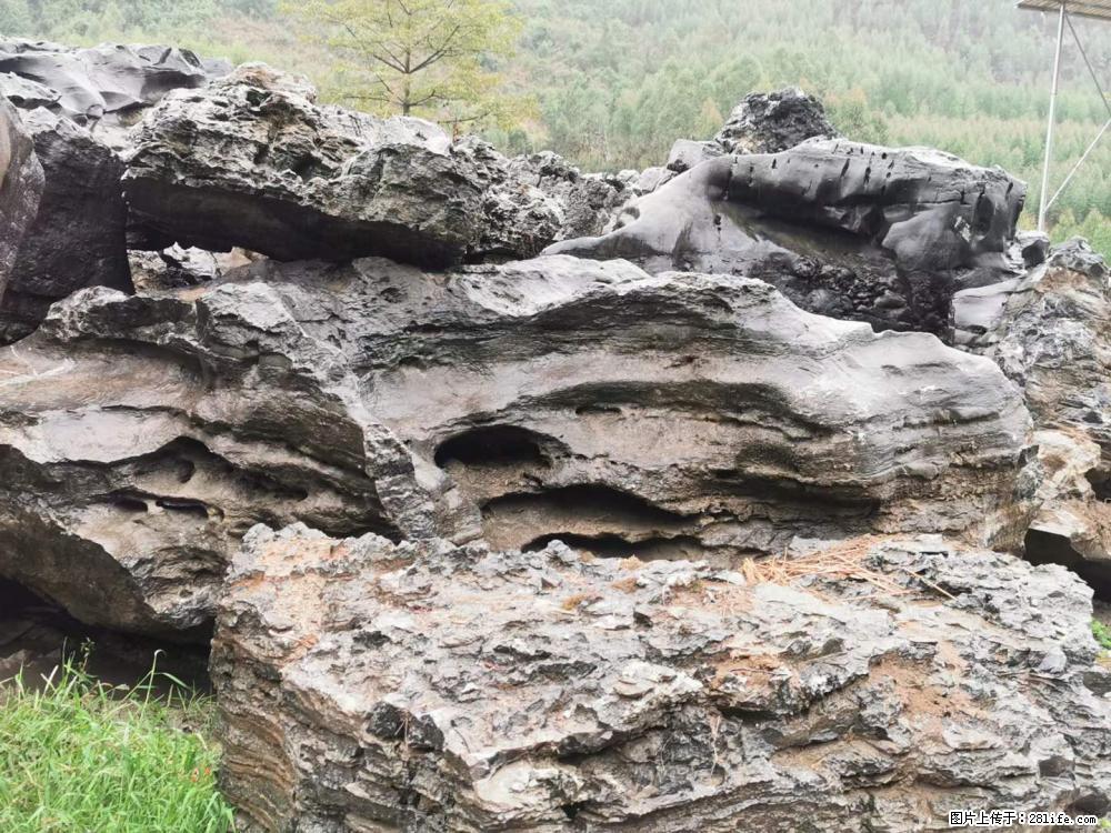 风景石、假山石大量有货，有需要的欢迎联系 - 新手上路 - 宜春生活社区 - 宜春28生活网 yichun.28life.net