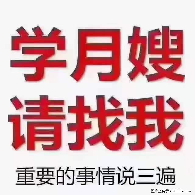 为什么要学习月嫂，育婴师？ - 其他广告 - 广告专区 - 宜春分类信息 - 宜春28生活网 yichun.28life.net