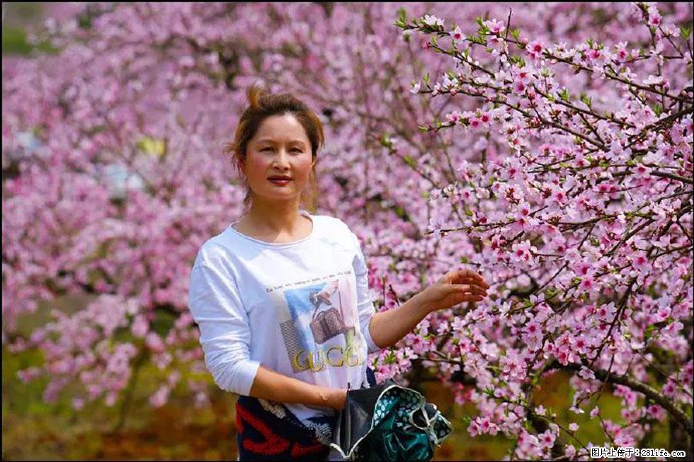 【春天，广西桂林灌阳县向您发出邀请！】官庄村有个醉美的桃花园 - 游山玩水 - 宜春生活社区 - 宜春28生活网 yichun.28life.net