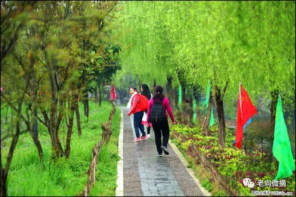 【春天，广西桂林灌阳县向您发出邀请！】江口老街又逢春 - 游山玩水 - 宜春生活社区 - 宜春28生活网 yichun.28life.net
