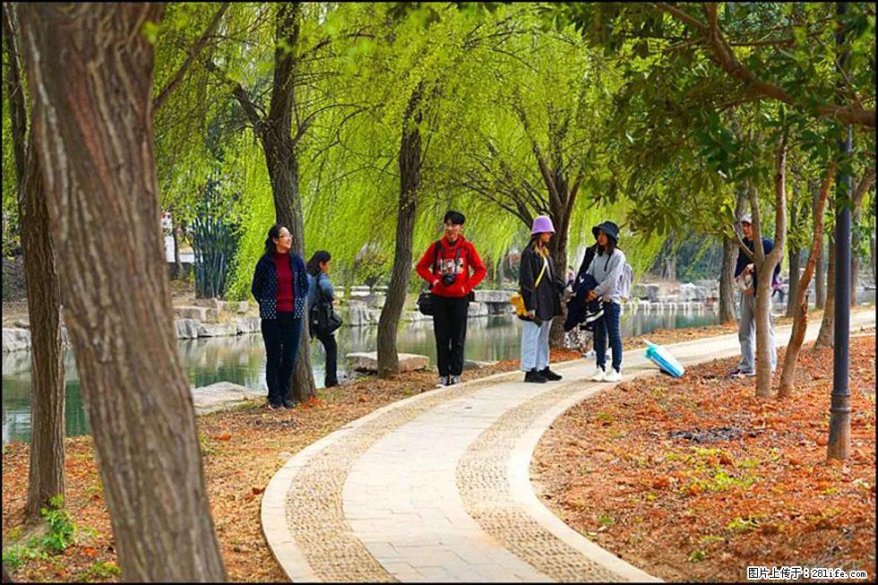 【春天，广西桂林灌阳县向您发出邀请！】江口老街又逢春 - 游山玩水 - 宜春生活社区 - 宜春28生活网 yichun.28life.net