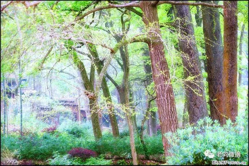 【春天，广西桂林灌阳县向您发出邀请！】在小龙村与春天约会 - 游山玩水 - 宜春生活社区 - 宜春28生活网 yichun.28life.net