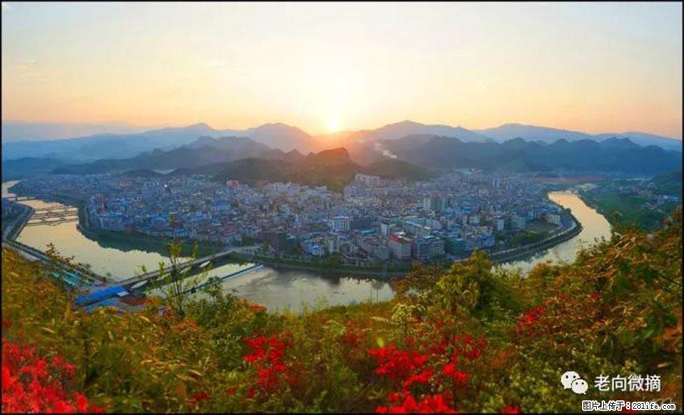 【春天，广西桂林灌阳县向您发出邀请！】登麒麟山，相约映山红 - 游山玩水 - 宜春生活社区 - 宜春28生活网 yichun.28life.net