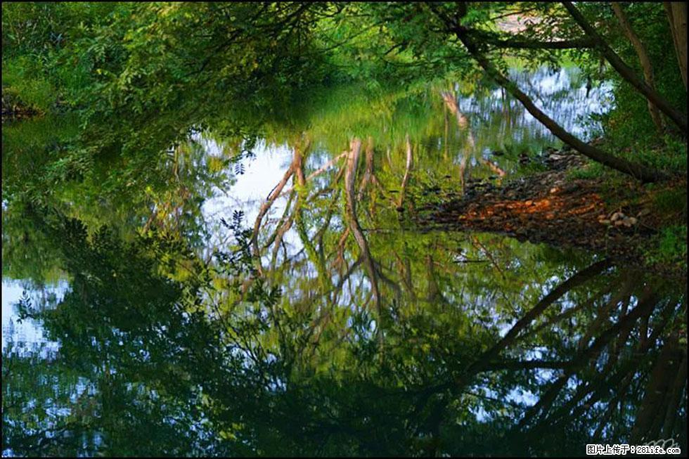 【春天，广西桂林灌阳县向您发出邀请！】熊家寨湿地公园 - 游山玩水 - 宜春生活社区 - 宜春28生活网 yichun.28life.net