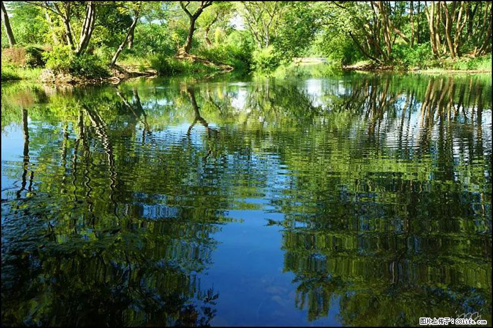 【春天，广西桂林灌阳县向您发出邀请！】熊家寨湿地公园 - 游山玩水 - 宜春生活社区 - 宜春28生活网 yichun.28life.net
