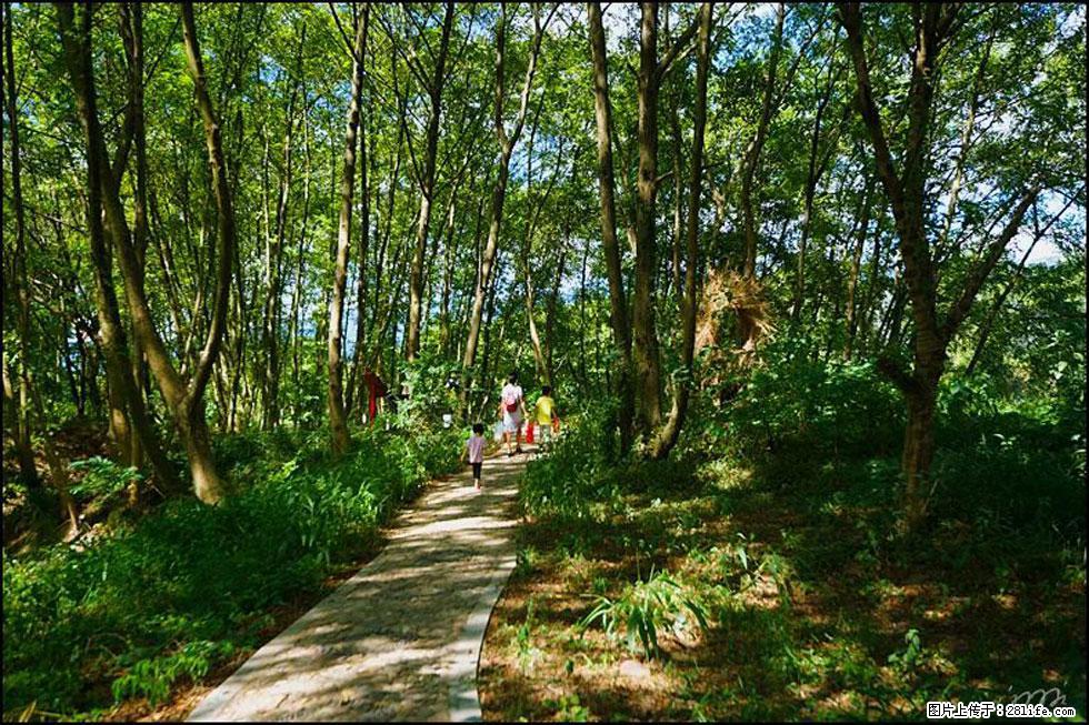 【春天，广西桂林灌阳县向您发出邀请！】熊家寨湿地公园 - 游山玩水 - 宜春生活社区 - 宜春28生活网 yichun.28life.net
