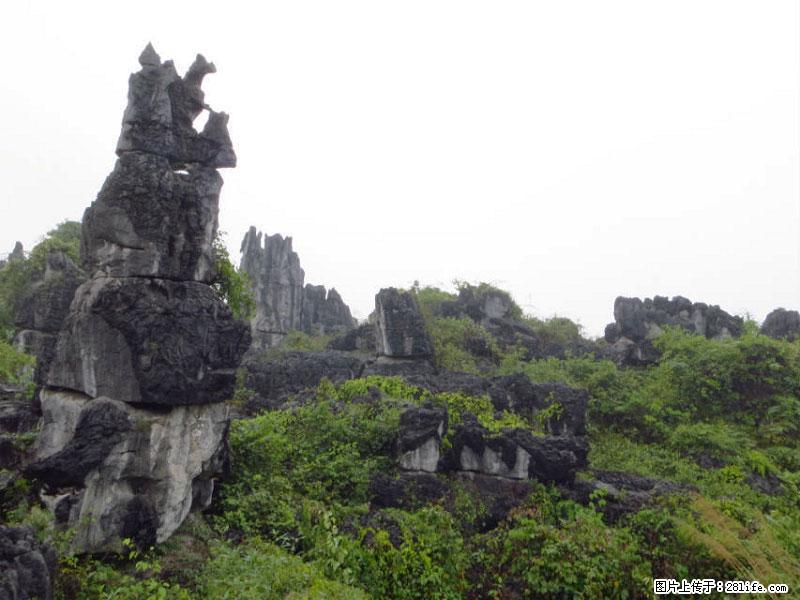 桂林旅游名城景点：灌阳文市石林 - 游山玩水 - 宜春生活社区 - 宜春28生活网 yichun.28life.net