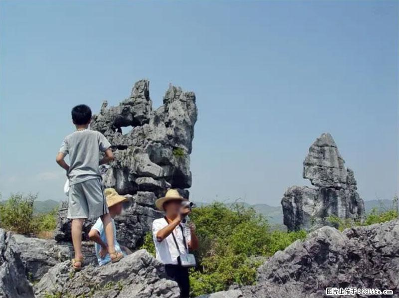 桂林旅游名城景点：灌阳文市石林 - 游山玩水 - 宜春生活社区 - 宜春28生活网 yichun.28life.net
