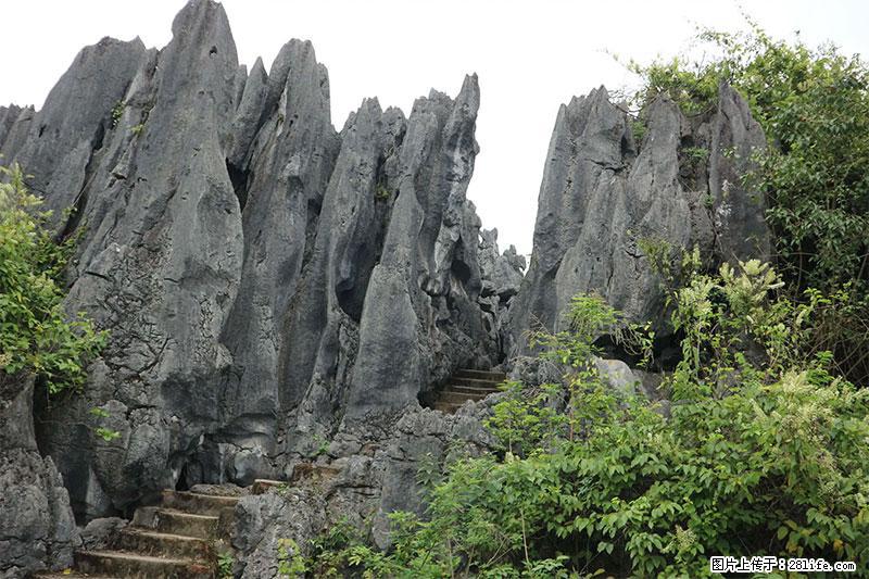 桂林旅游名城景点：灌阳文市石林 - 游山玩水 - 宜春生活社区 - 宜春28生活网 yichun.28life.net