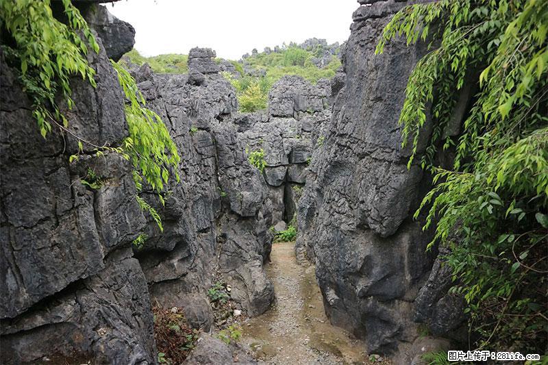 桂林旅游名城景点：灌阳文市石林 - 游山玩水 - 宜春生活社区 - 宜春28生活网 yichun.28life.net