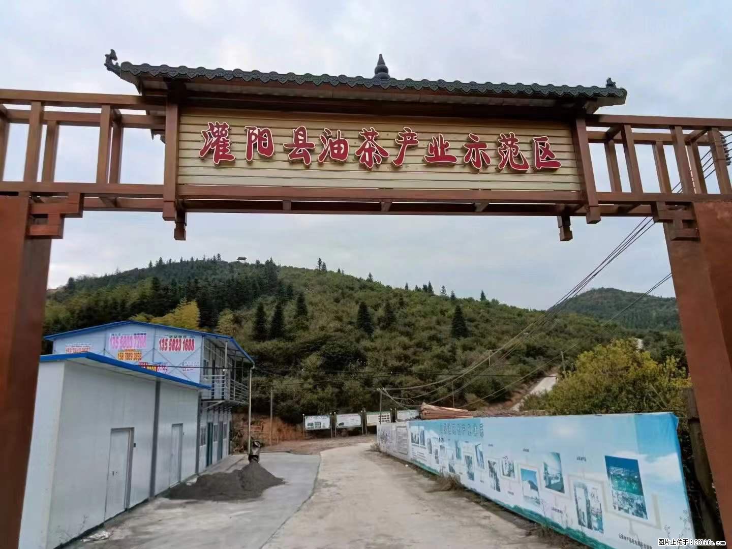 【灌阳县油茶产业示范区】一个有着充实的精神生活的人，对待身外之物自会有一种淡泊的态度 - 土特产 - 饮食特产 - 宜春分类信息 - 宜春28生活网 yichun.28life.net