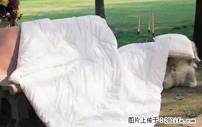 被子有异味？只要这样做，比晒太阳还强100倍！ - 家居生活 - 宜春生活社区 - 宜春28生活网 yichun.28life.net