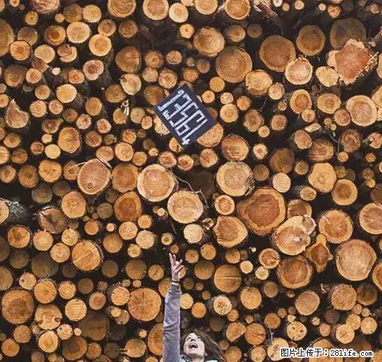 辞掉工作周游世界？现在他们在洗厕所…… - 游山玩水 - 宜春生活社区 - 宜春28生活网 yichun.28life.net