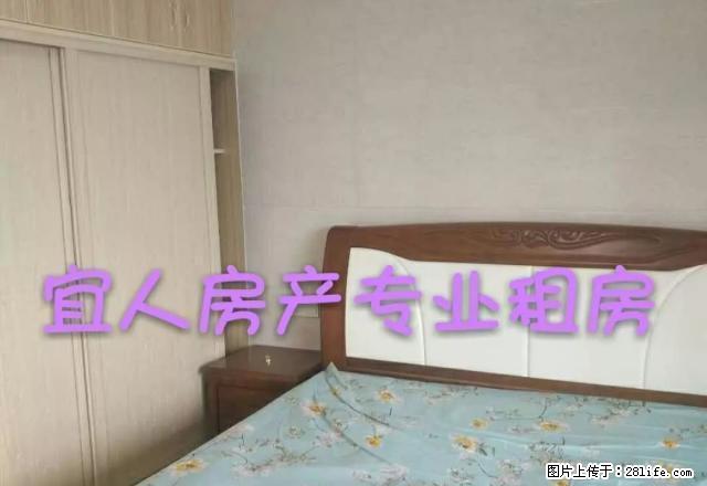 （租期长可面议）都市春天乐居名郡汇金广场精装有单独厨房和煤气 - 房屋出租 - 房屋租售 - 宜春分类信息 - 宜春28生活网 yichun.28life.net