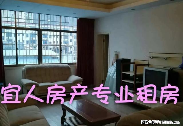 （特价房有钥匙）中山中路国光附近 三房 家电齐全 租期长面议 - 房屋出租 - 房屋租售 - 宜春分类信息 - 宜春28生活网 yichun.28life.net