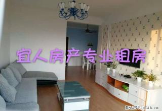 （租期长面议）北湖公园附近书香名郡北湖豪苑 精装两房照片实拍 - 宜春28生活网 yichun.28life.net