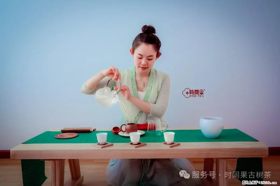 时间果百年古树龙珠普洱生茶 - 购物交流 - 宜春生活社区 - 宜春28生活网 yichun.28life.net