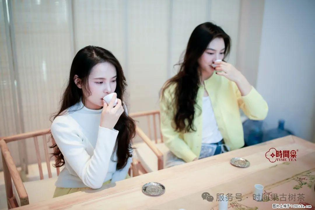 时间果百年古树龙珠普洱生茶 - 购物交流 - 宜春生活社区 - 宜春28生活网 yichun.28life.net