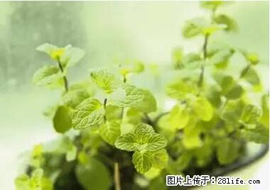 晕车、脚气、牙齿变黄、皮肤粗糙？学会这些三分钟搞定！ - 宜春生活资讯 - 宜春28生活网 yichun.28life.net