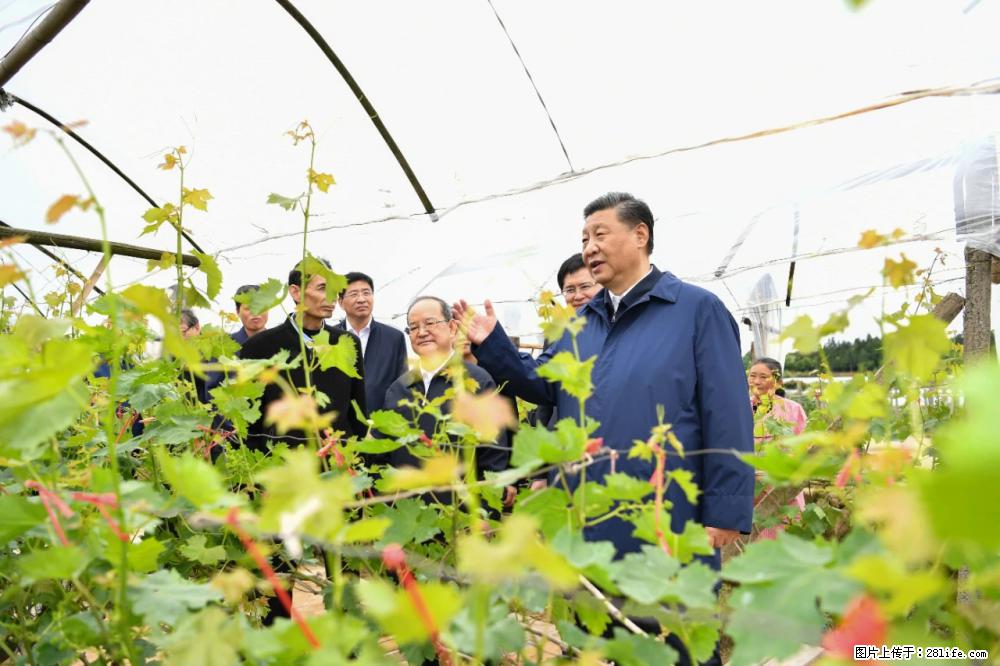习近平赴广西考察调研 - 宜春生活资讯 - 宜春28生活网 yichun.28life.net