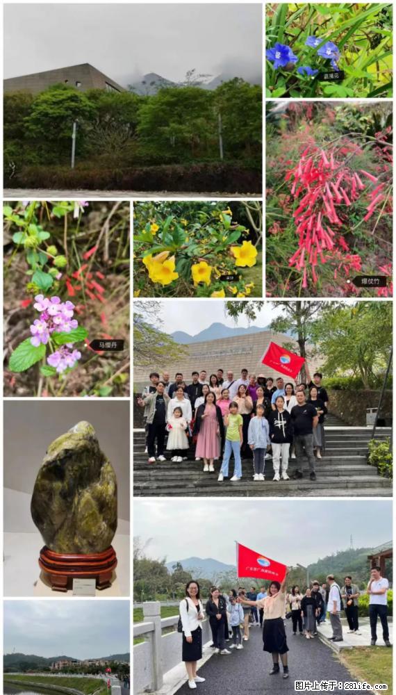 “粤灌文化 美好生活”油茶文化主题活动在广东深圳成功举办 - 宜春生活资讯 - 宜春28生活网 yichun.28life.net