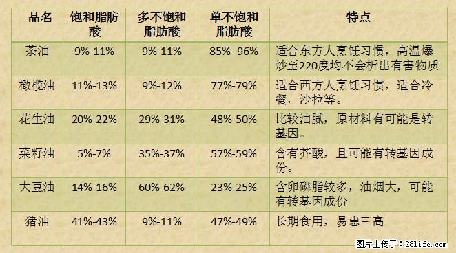揭秘茶油的5大核心营养成分！被称为人体健康的“守护盾”！ - 宜春生活资讯 - 宜春28生活网 yichun.28life.net