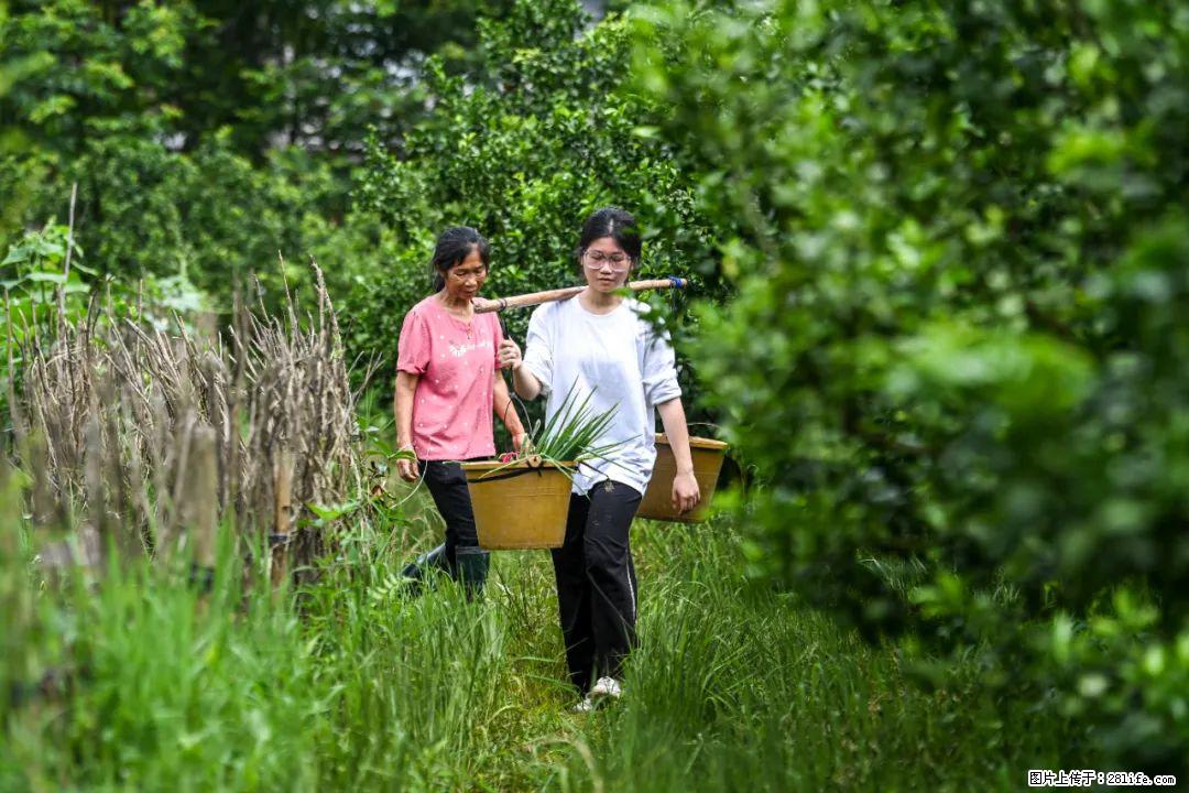 全网追的“扁担女孩”，找了一份暑假工，时薪12元 - 宜春生活资讯 - 宜春28生活网 yichun.28life.net