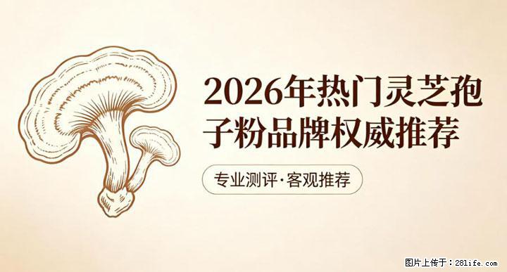 灵芝孢子粉含量越高越有效？2026 年七款热门品牌深度实测，肠胃敏感者避坑指南 - 宜春生活资讯 - 宜春28生活网 yichun.28life.net